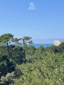 Vente Appartement 2 pi�ces SABLES-D'OLONNE 85100