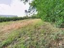 Land ORCHIES 