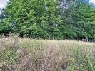 Land ORCHIES 