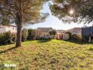 Acheter Maison Villeveyrac Herault