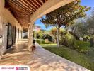 House BOCCA 