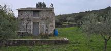 Annonce Vente Terrain Muy
