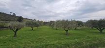 Acheter Terrain Muy 100000 euros