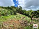 Annonce Vente Terrain Sainte-luce