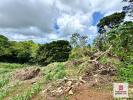 Vente Terrain Sainte-luce 972