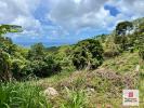 Vente Terrain Sainte-luce 972