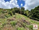 Annonce Vente Terrain Sainte-luce