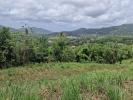Land RIVIERE-PILOTE 