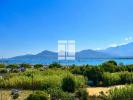 Apartment CALVI 