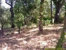 Vente Terrain Mayons 83