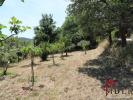 Acheter Terrain 1557 m2 Collobrieres