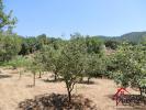 Acheter Terrain Collobrieres Var