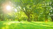 Annonce Vente Terrain Cagny