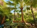 Vente Appartement Antibes 06
