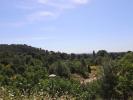 House VILLENEUVE-LES-AVIGNON 