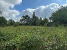 Annonce Vente Terrain Albi