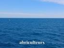 Acheter Appartement Roquebrune-cap-martin 549995 euros