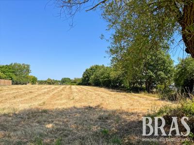 Vente Terrain SABLES-D'OLONNE 85100