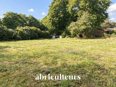 Vente Terrain SAINT-VINCENT-DE-TYROSSE 40230