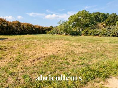 Vente Terrain SAINT-VINCENT-DE-TYROSSE 40230