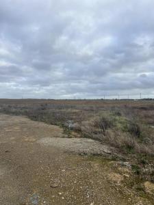 Vente Terrain TELOCHE  72