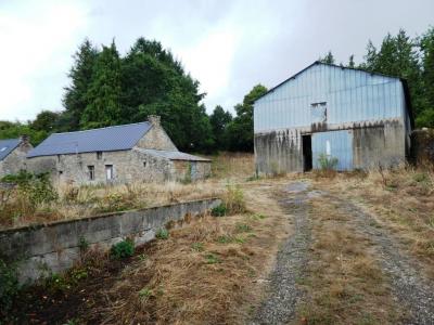 Vente Maison PLOERDUT 56160
