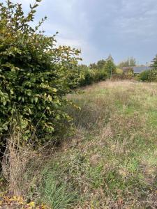 Vente Terrain SAINTE-LUCE-SUR-LOIRE 44980