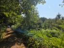 Vente Terrain Tholy 88