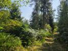 Annonce Vente Terrain Tholy