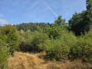 Acheter Terrain Tholy Vosges
