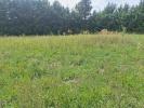 Annonce Vente Terrain Saint-remy-de-provence