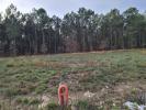 Annonce Vente Terrain Saint-martin-d'oney