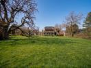 Land NEUVILLE-SUR-SAONE 
