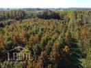 Vente Domaine forestier Cazaubon  32150 32767 m2