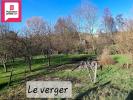 Acheter Maison Saint-amour 350000 euros