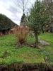 Annonce Vente Maison Auchel