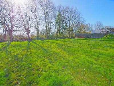 Vente Terrain SAINTE-FOY 85150