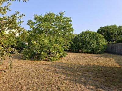 Vente Terrain VILLENAVE-D'ORNON 33140