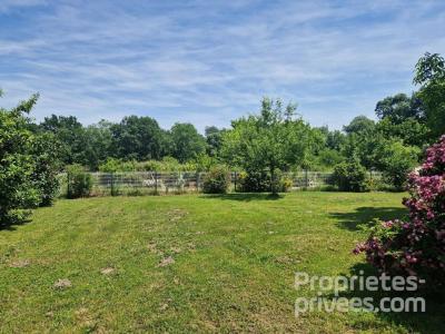 Vente Terrain SAINT-ANDRE-DE-CUBZAC 33240