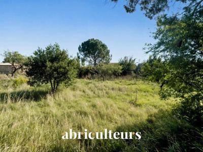 Vente Terrain EGUILLES 13510