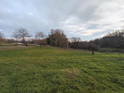 Vente Terrain SAINT-GENES-DE-LOMBAUD 33670