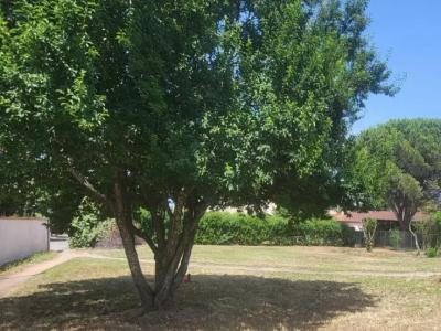 Vente Terrain POMPIGNAC 33370