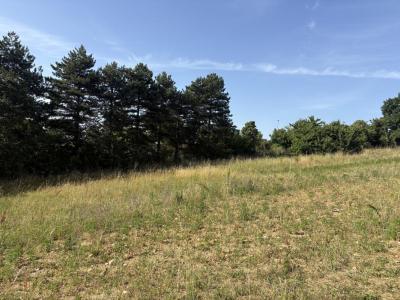 Vente Terrain CHARLY 69390