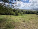 Acheter Terrain 7500 m2 Vauclin