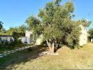 Annonce Vente 5 pi�ces Maison Saint-augustin