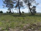 For sale Land Lacanau  33680 366 m2