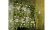 Annonce Vente Programme neuf Baussaine
