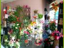 Annonce Vente 10 pi�ces Maison Neuvy-sur-barangeon