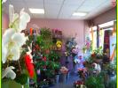 Acheter Maison Neuvy-sur-barangeon Cher
