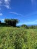 Land MORNE-VERT 